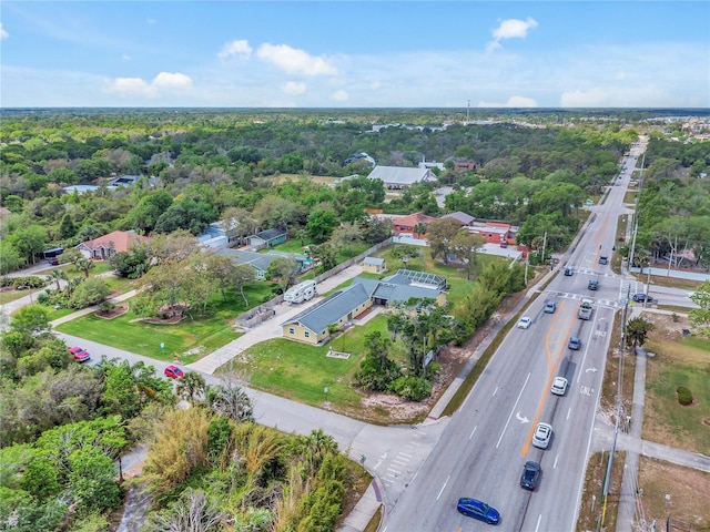 5800 Spruce Creek Woods Dr, Port Orange, FL 32127 - photo 49