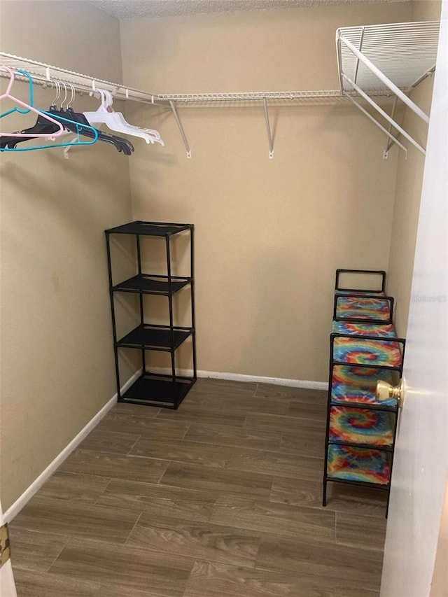 walk in closet with dark wood-style flooring