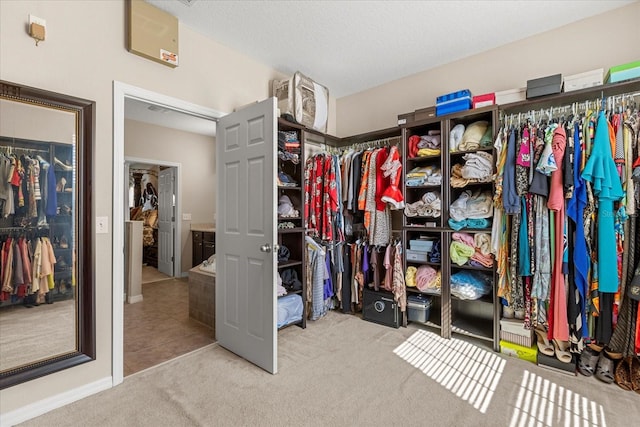 walk in closet featuring carpet floors