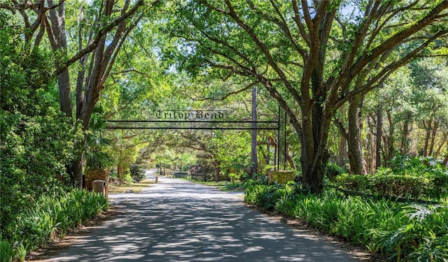 8 Trilby Br, Longwood, FL 32779 - view of street featuring a view of trees