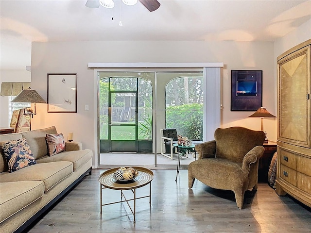 living area featuring healthy amount of natural light, wood finished floors, and ceiling fan