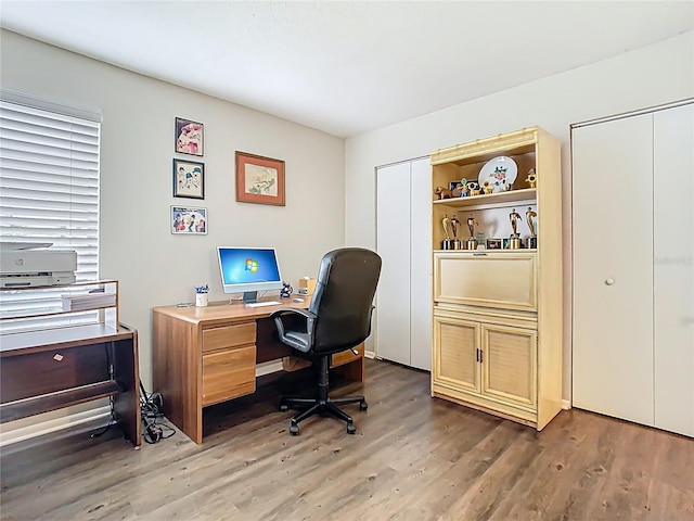office space featuring wood finished floors