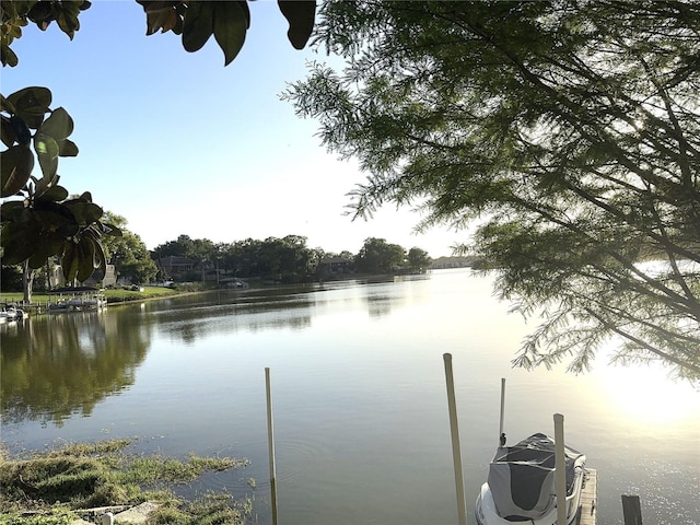 dock with a water view