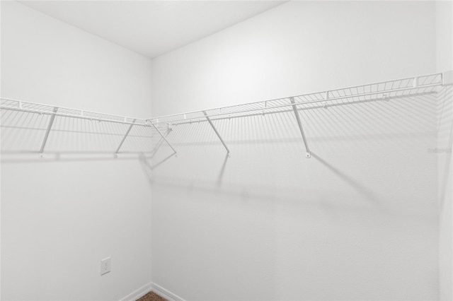 392 Kensington View Dr, Winter Haven, FL 33880 - view of walk in closet