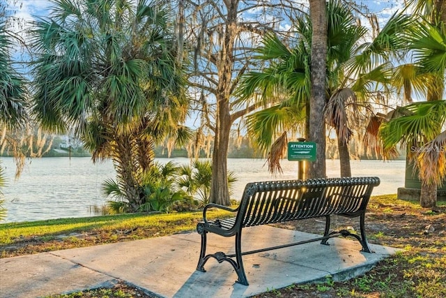 916 W Yale St, Orlando, FL 32804 - photo 49