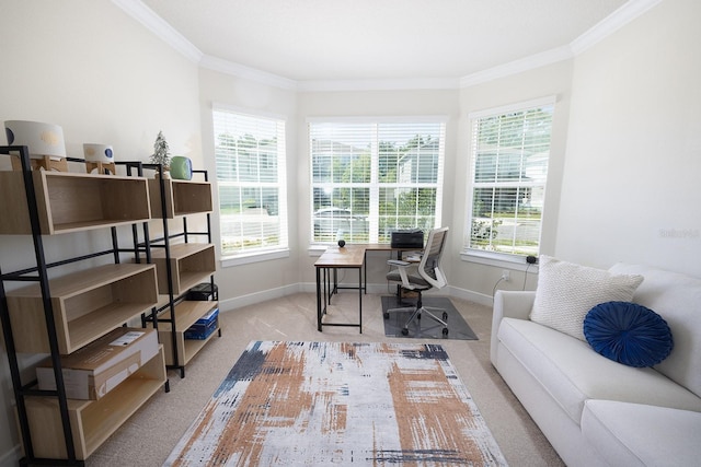4012 Meandering Bay Dr, Apopka, FL 32712 - carpeted home office with healthy amount of natural light, ornamental molding, and baseboards