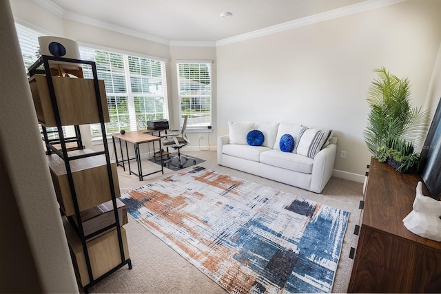 4012 Meandering Bay Dr, Apopka, FL 32712 - living room with carpet flooring, healthy amount of natural light, crown molding, and baseboards