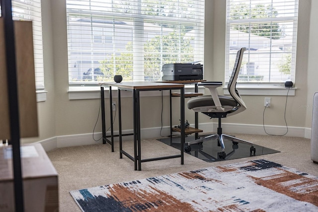 4012 Meandering Bay Dr, Apopka, FL 32712 - carpeted home office featuring baseboards