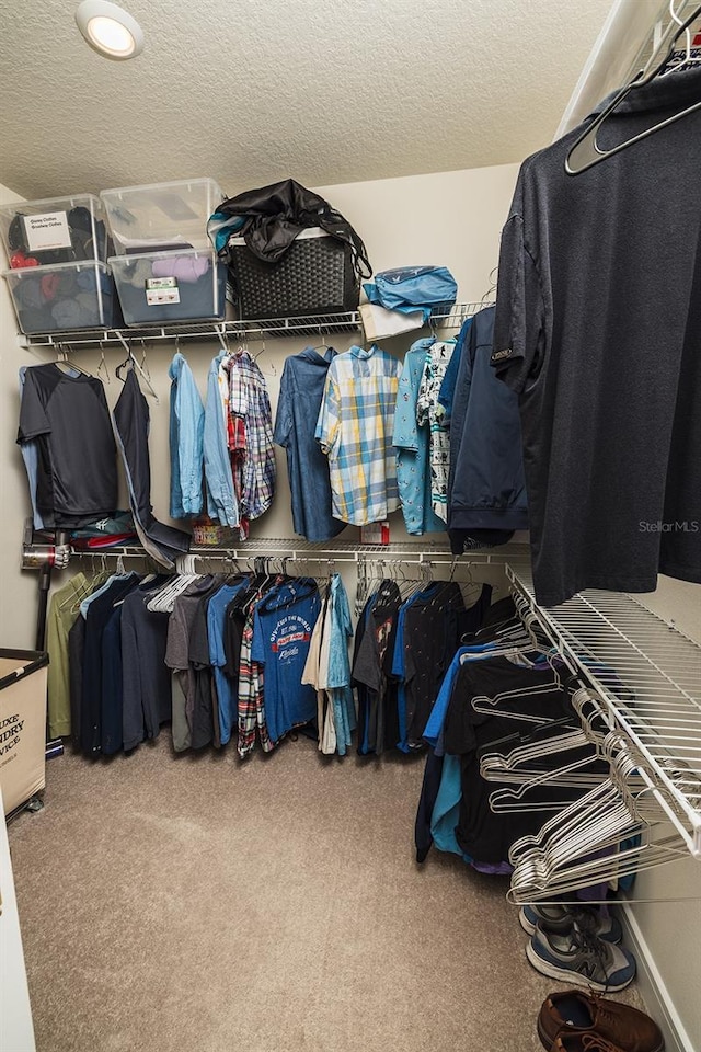 4012 Meandering Bay Dr, Apopka, FL 32712 - walk in closet with carpet flooring