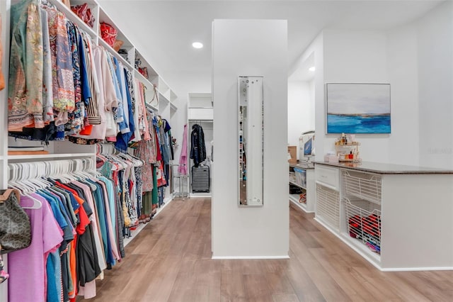 walk in closet featuring wood finished floors
