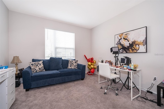 office featuring carpet