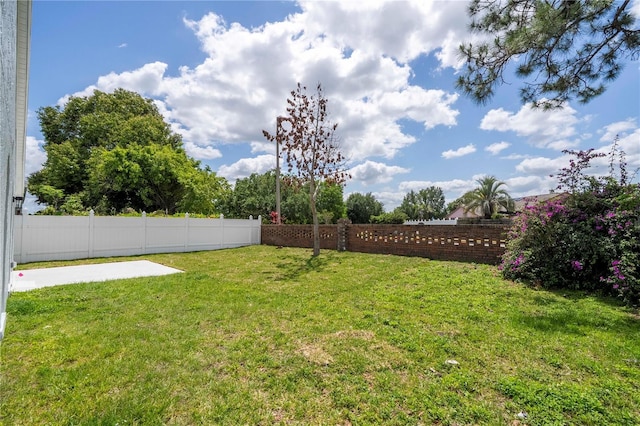2218 Newt St, Orlando, FL 32837 - view of yard with a patio and a fenced backyard