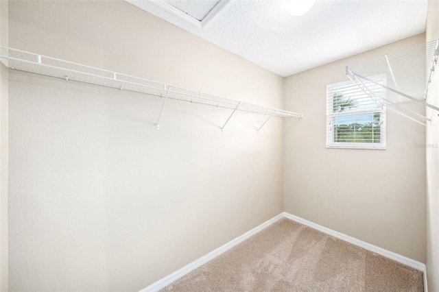 5004 Ashford Falls Ln, Oviedo, FL 32765 - walk in closet featuring carpet flooring