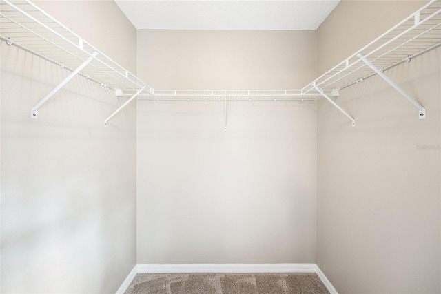 5004 Ashford Falls Ln, Oviedo, FL 32765 - walk in closet featuring carpet
