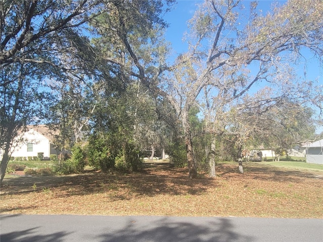 2488 N Brentwood Cir, Lecanto, FL 34461 - photo 2