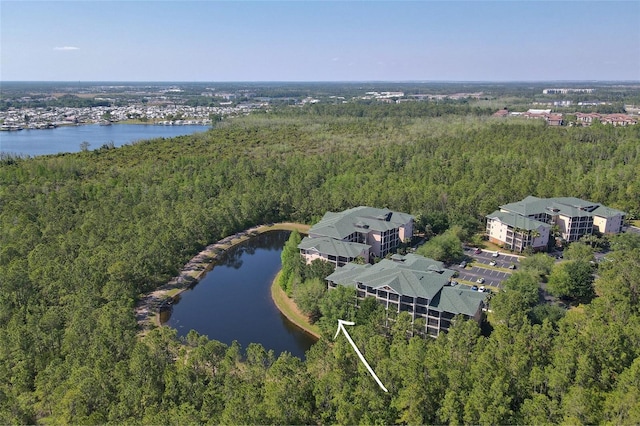 9061 Treasure Trove Ln Unit 104, Kissimmee, FL 34747 - view of property location featuring a forest and a large body of water