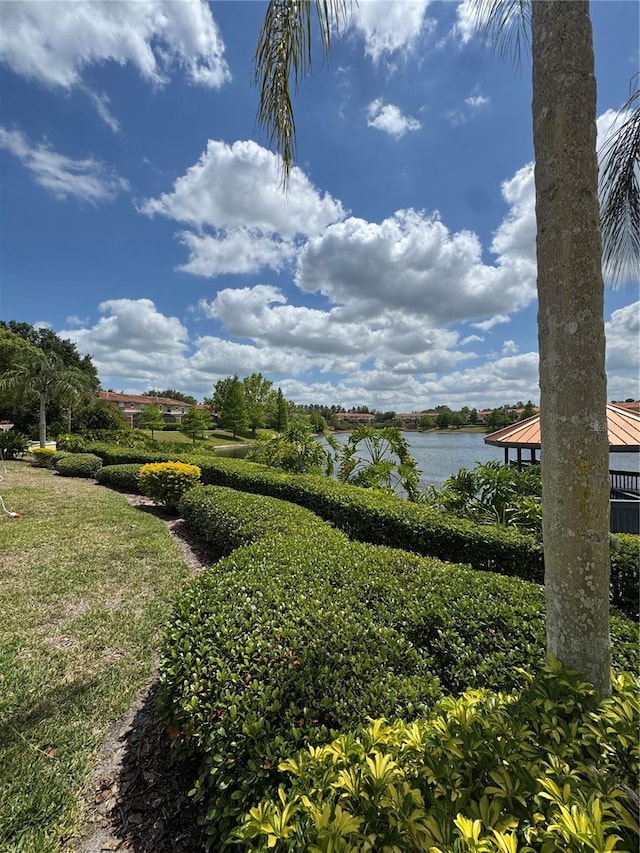 3045 Yellow Lantana Ln, Kissimmee, FL 34747 - surrounding community with a water view