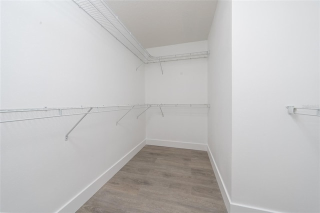 walk in closet with light wood-type flooring