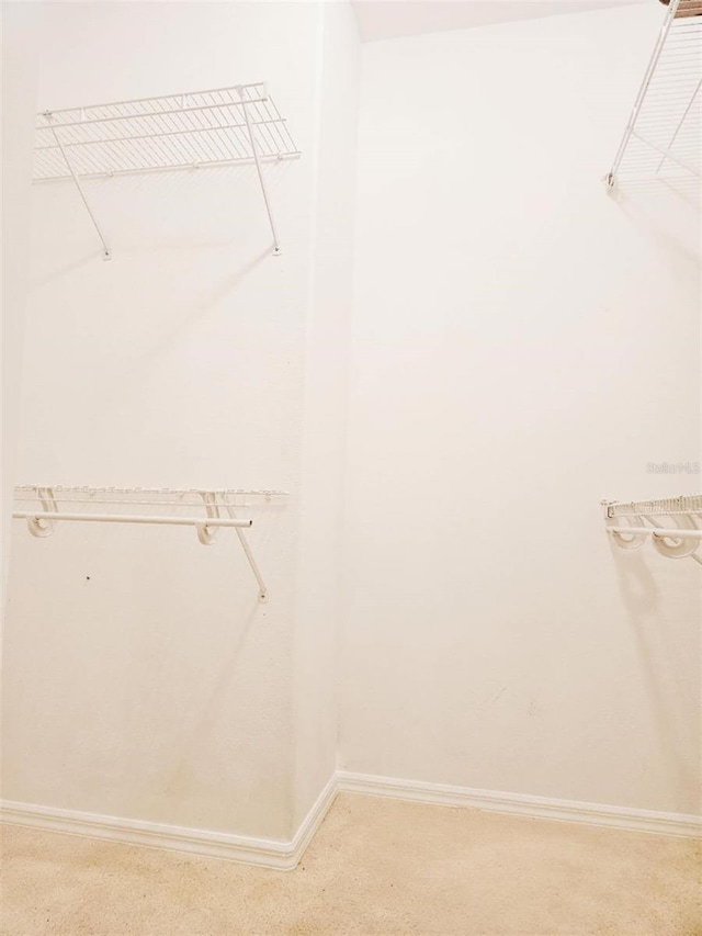 5421 Watervista Dr, Orlando, FL 32821 - walk in closet featuring light carpet