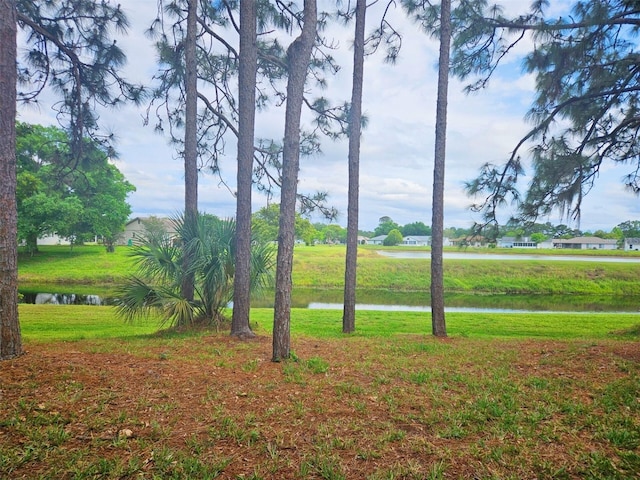 5421 Watervista Dr, Orlando, FL 32821 - view of yard with a water view