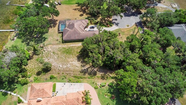 713 Newell Hill Rd, Leesburg, FL 34748 - photo 4