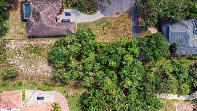 713 Newell Hill Rd, Leesburg, FL 34748 - photo 8