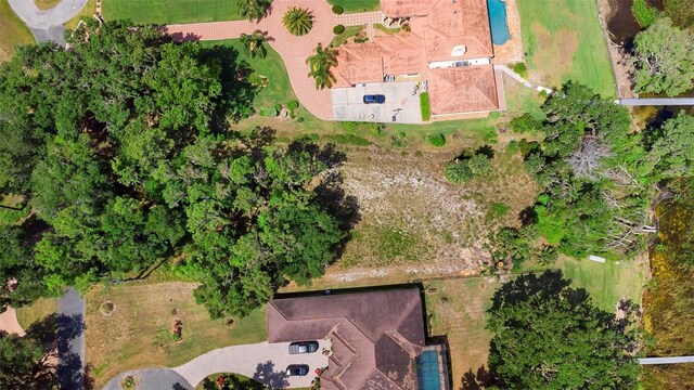 713 Newell Hill Rd, Leesburg, FL 34748 - photo 11
