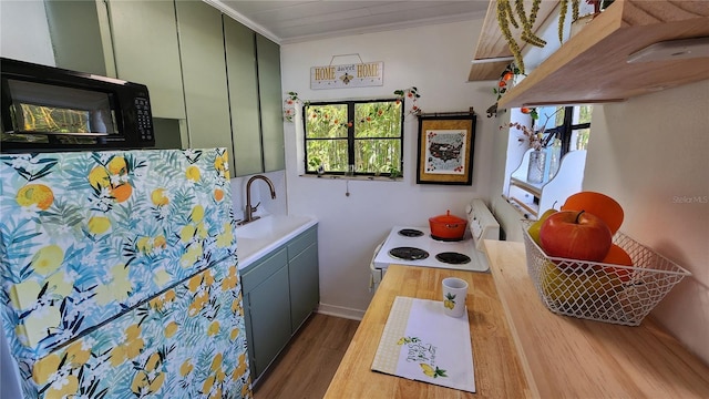 kitchen with plenty of natural light, black microwave, white electric range, and a sink