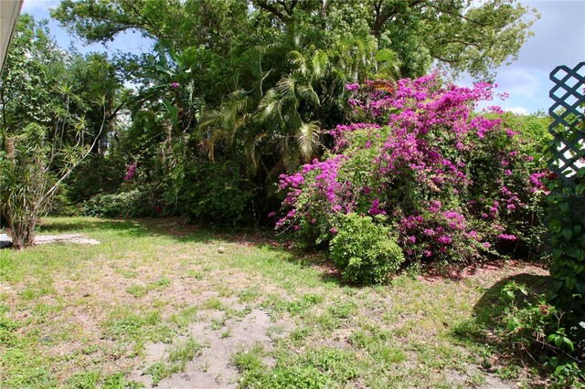 717 Clifford Dr, Orlando, FL 32804 - photo 9