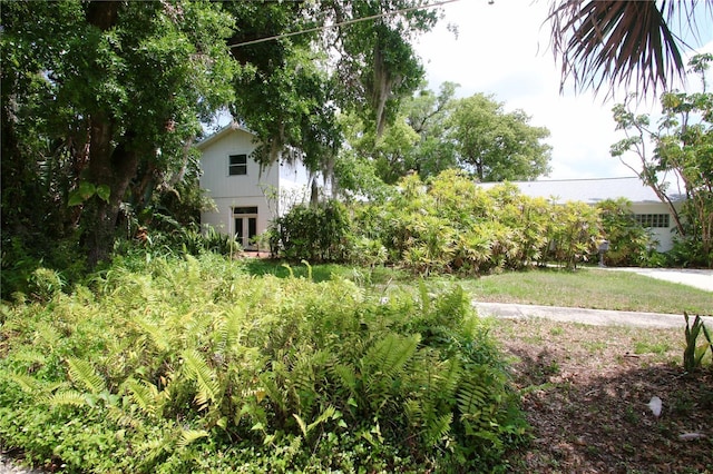 717 Clifford Dr, Orlando, FL 32804 - photo 5