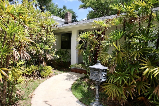 717 Clifford Dr, Orlando, FL 32804 - photo 7