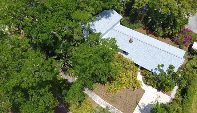 717 Clifford Dr, Orlando, FL 32804 - photo 8