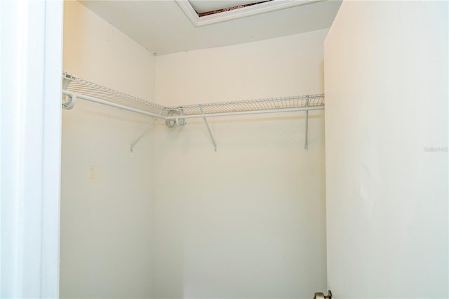 14796 SW 39th Cir, Ocala, FL 34473 - view of walk in closet