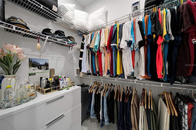 1214 Embers Pkwy W, Cape Coral, FL 33993 - view of spacious closet