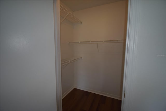 1075 S Hiawassee Rd Unit 916, Orlando, FL 32835 - walk in closet with dark wood-type flooring