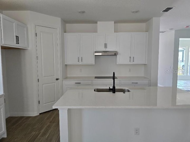 2976 Embark Trl, Saint Cloud, FL 34771 - kitchen with a sink, under cabinet range hood, dark wood-style floors, white cabinetry, and light countertops