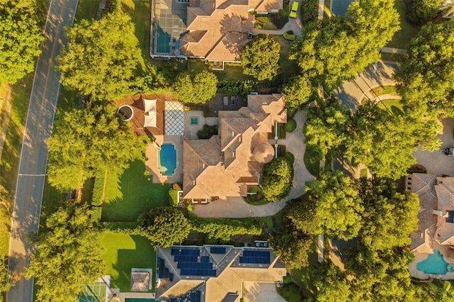 6143 Cartmel Ln, Windermere, FL 34786 - bird's eye view of a pool area