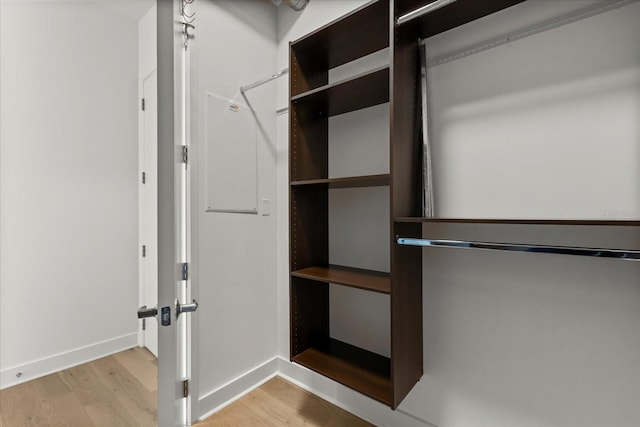 spacious closet featuring wood finished floors