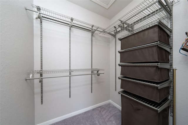 walk in closet with carpet