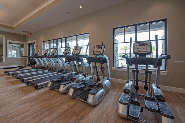 3041 Cardillino Way, Kissimmee, FL 34741 - gym with baseboards, ornamental molding, and wood finished floors