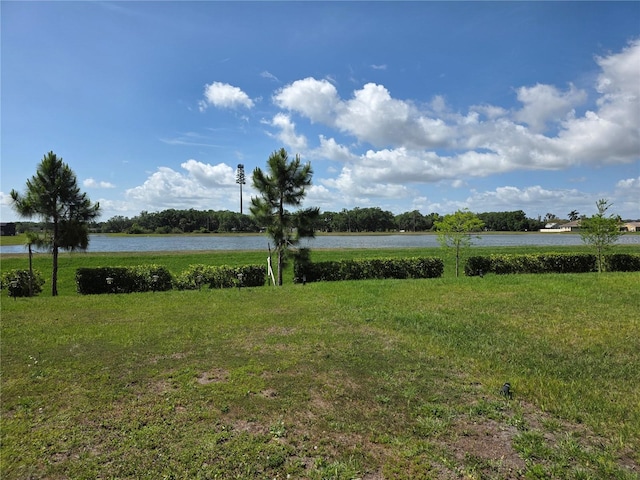 1764 Stamen Dr, Kissimmee, FL 34744 - view of water feature