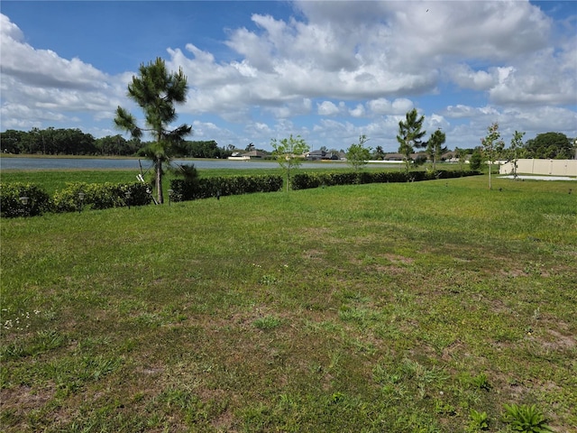 1764 Stamen Dr, Kissimmee, FL 34744 - view of yard with a water view