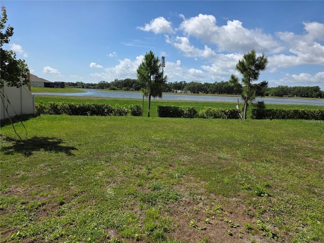 1764 Stamen Dr, Kissimmee, FL 34744 - view of yard with a water view