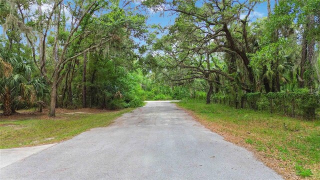 5018 N Andri Dr, Crystal River, FL 34428 - photo 3