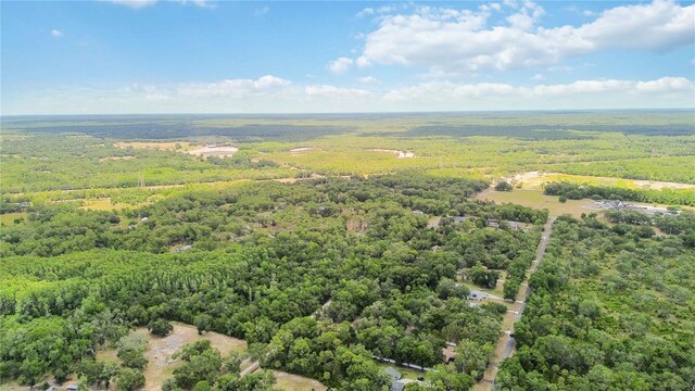 5018 N Andri Dr, Crystal River, FL 34428 - photo 5