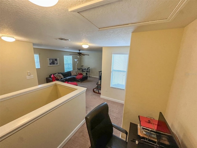 987 Alston Bay Blvd, Apopka, FL 32703 - interior space featuring a textured ceiling, attic access, and visible vents