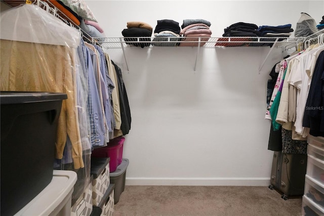 987 Alston Bay Blvd, Apopka, FL 32703 - spacious closet with carpet floors