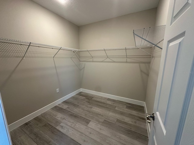spacious closet featuring wood finished floors