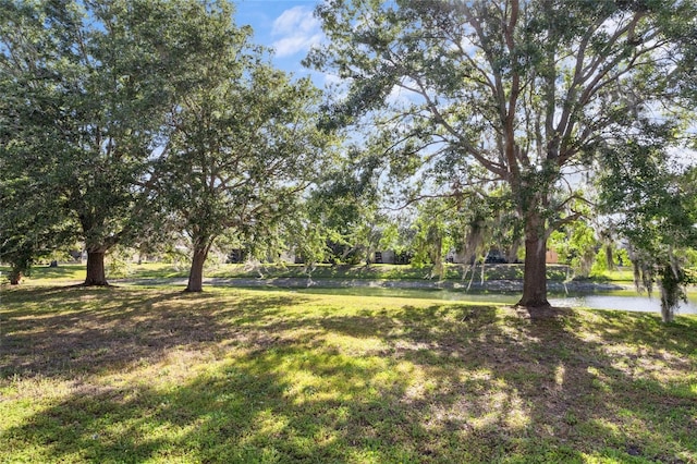 9244 Pecky Cypress Way, Orlando, FL 32836 - view of yard
