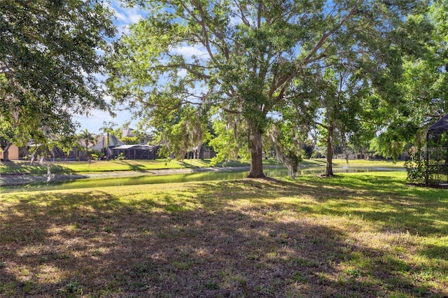 9244 Pecky Cypress Way, Orlando, FL 32836 - surrounding community featuring a lawn